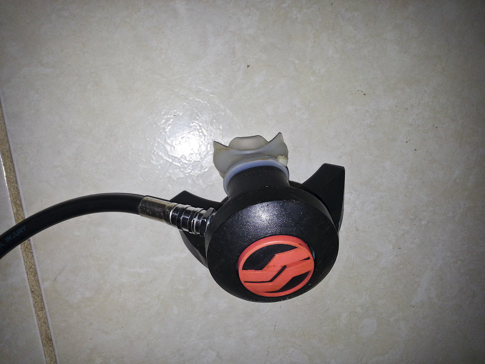 20131006_084450.jpg