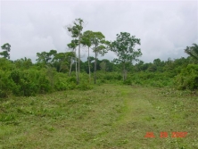 Belize real estate-13 acres off southern