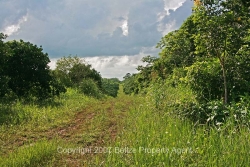 Belize Real estate for sale near Belmopan