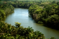 Tropical River