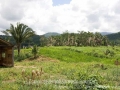 view south over property