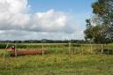 Belize Real Estate-2250 acre farm for sale in Belize with 5 miles river frontage