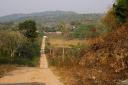 Belize land for sale-10 acres on Western Highway in Succotz village Cayo