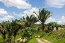 spectacular five acres parcel of Belize real estate near Belmopan