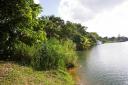 Belize Real Estate for Sale-fantastic 17 acres in Sittee River