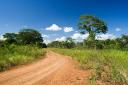 Belize real estate-75 acres of agricultural land near St. Margaret’s village on the Western Highway in Belize