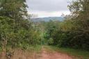 Belize Land-beautiful 8 acres of prime Belize real estate near Mullin’s River