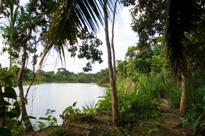 Prime Belize Real Estate on the Sittee River