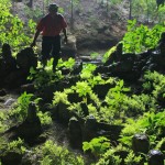 Some Belize real estate have unique features like a cave on the property