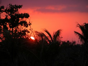 Belize is famous for it's relaxing and alluring jungle sunsets