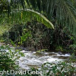 Cave's Branch area has some of the most desirable real estate in Belize