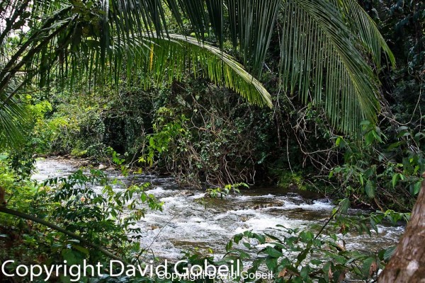 Cave's Branch area has some of the most desirable real estate in Belize