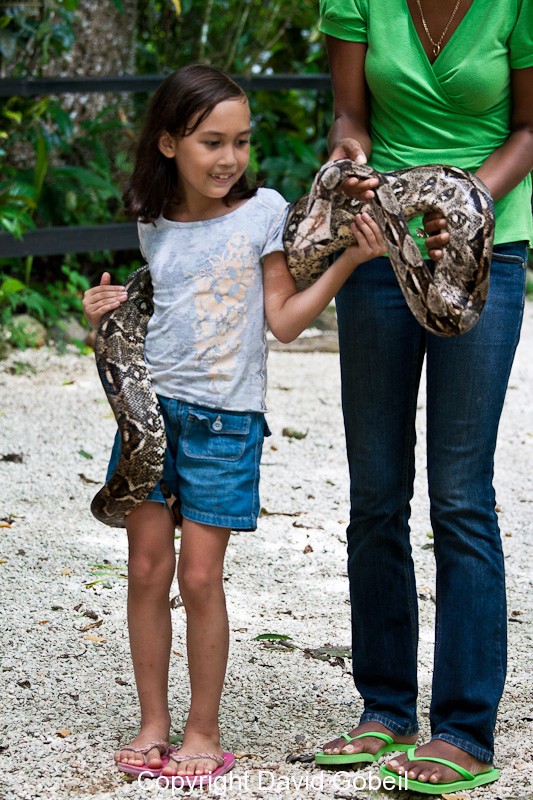 When shopping for Belize real estate many people take a break and visit the Belize Zoo