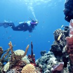 Many diver's purchase real estate in Belize after experiencing the barrier reef