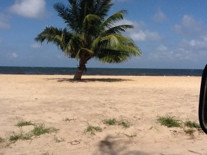 gorgeous beachfront Belize real estate in Dangriga